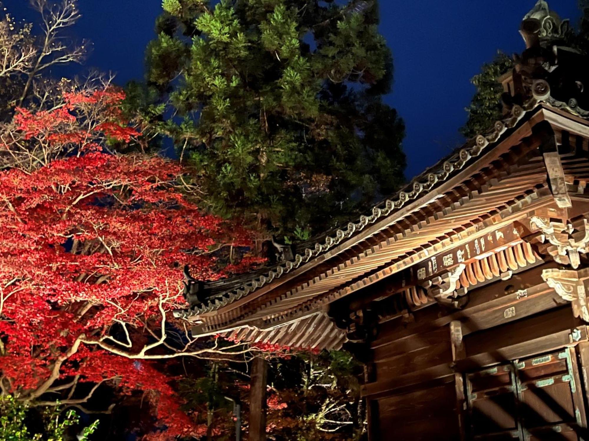 Vessel Inn Shigamoriyama Station Exterior foto
